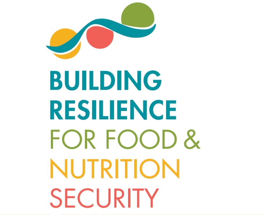 Building Resilience for Food and Nutrition Security: Highlights from the IFPRI 2020 Conference