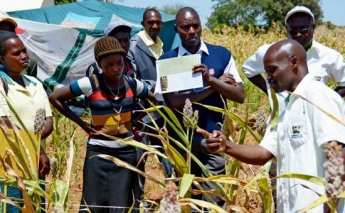 Weak links hamper knowledge sharing in agriculture