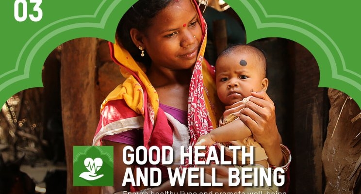 The Path to Achieving Health SDGs