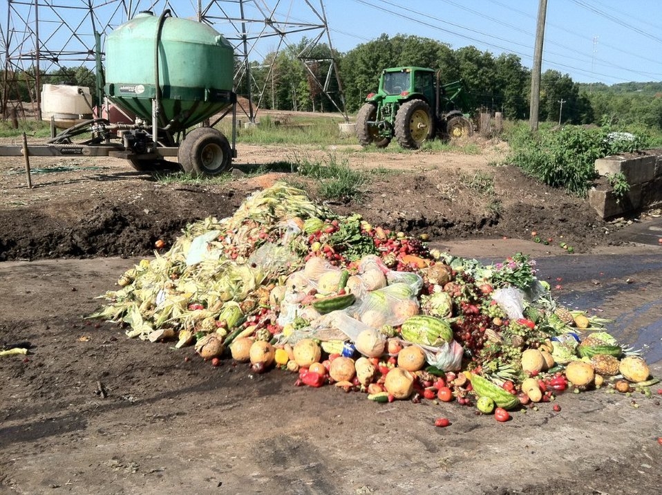Companies turn their attention to food waste as a way to tackle climate change