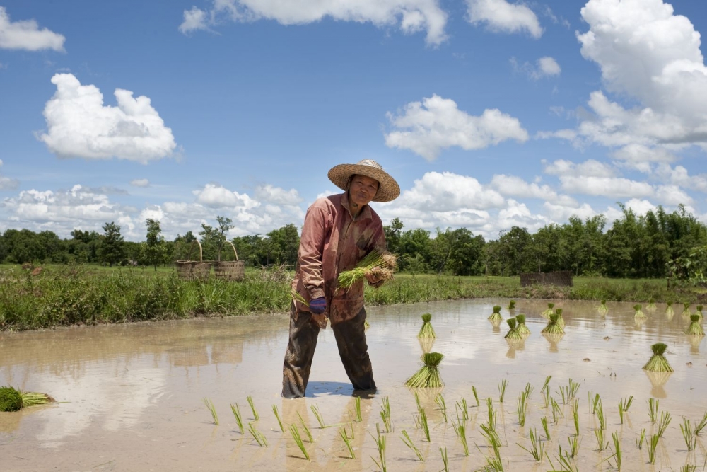 ROLE OF EMERGING COUNTRIES IN CLIMATE-SMART AGRICULTURE