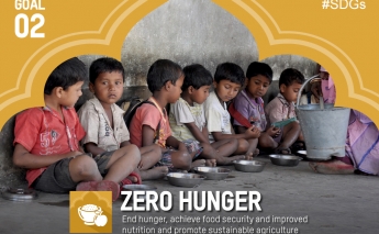 Sustainable Development Goals one year on: Zero Hunger by 2030?