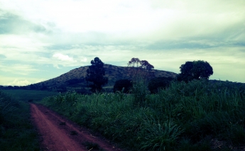 The Budongo Forest Landscape: Diets, Food Security and Nutrition