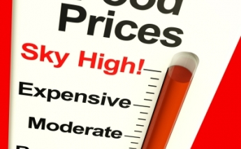 Do High Food Prices Cause Food Riots?